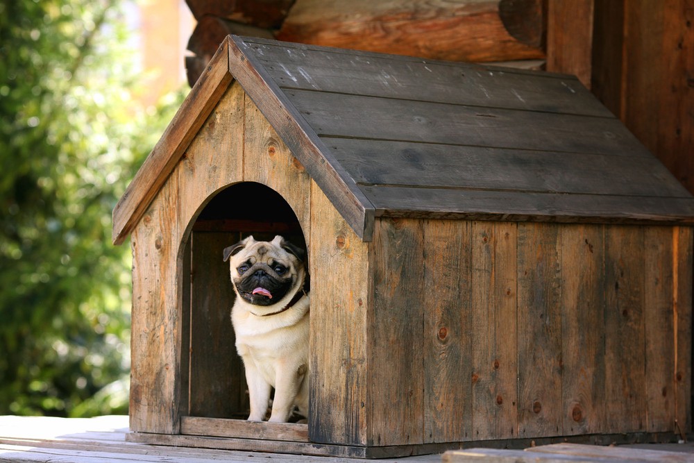 How to Build the Perfect Dog Kennel with Titan Lite Parts