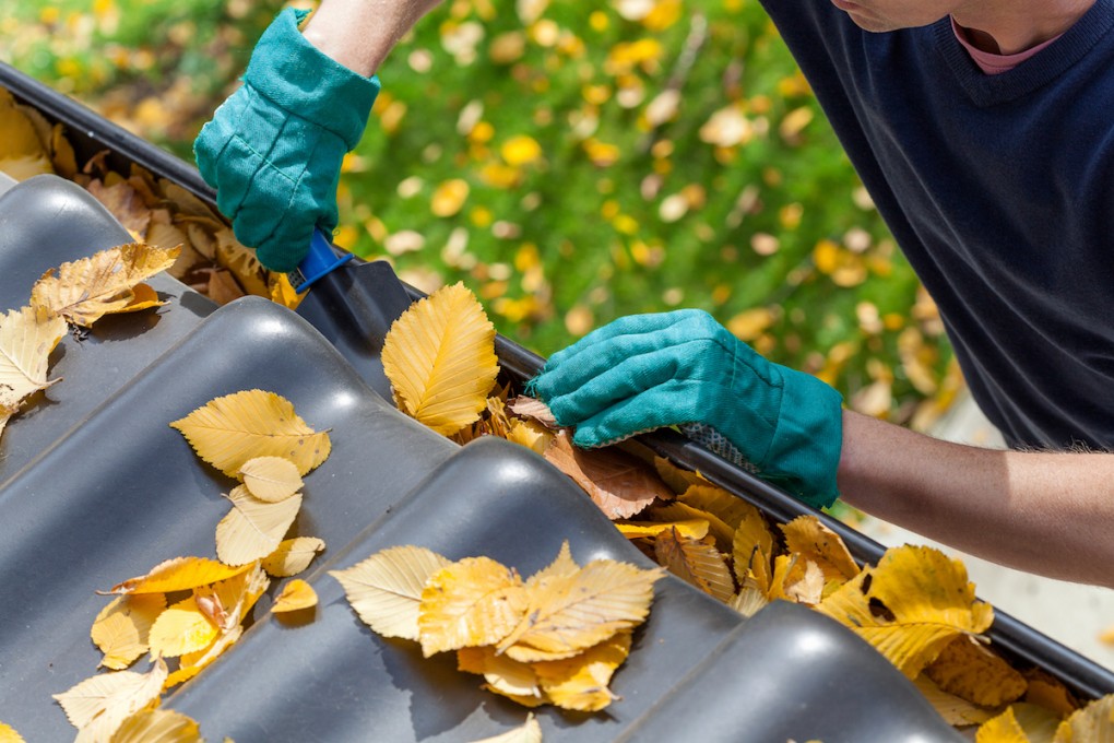 How to Clean Your Shed’s Gutters and Roof for Bushfire Season