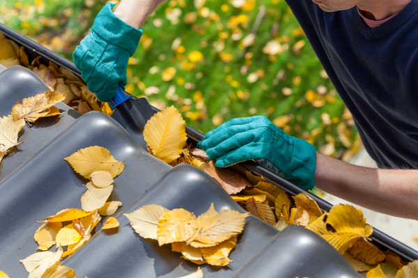 Prepping your shed for bushfire seasons