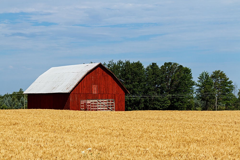 The Basics of Constructing A Pole Barn